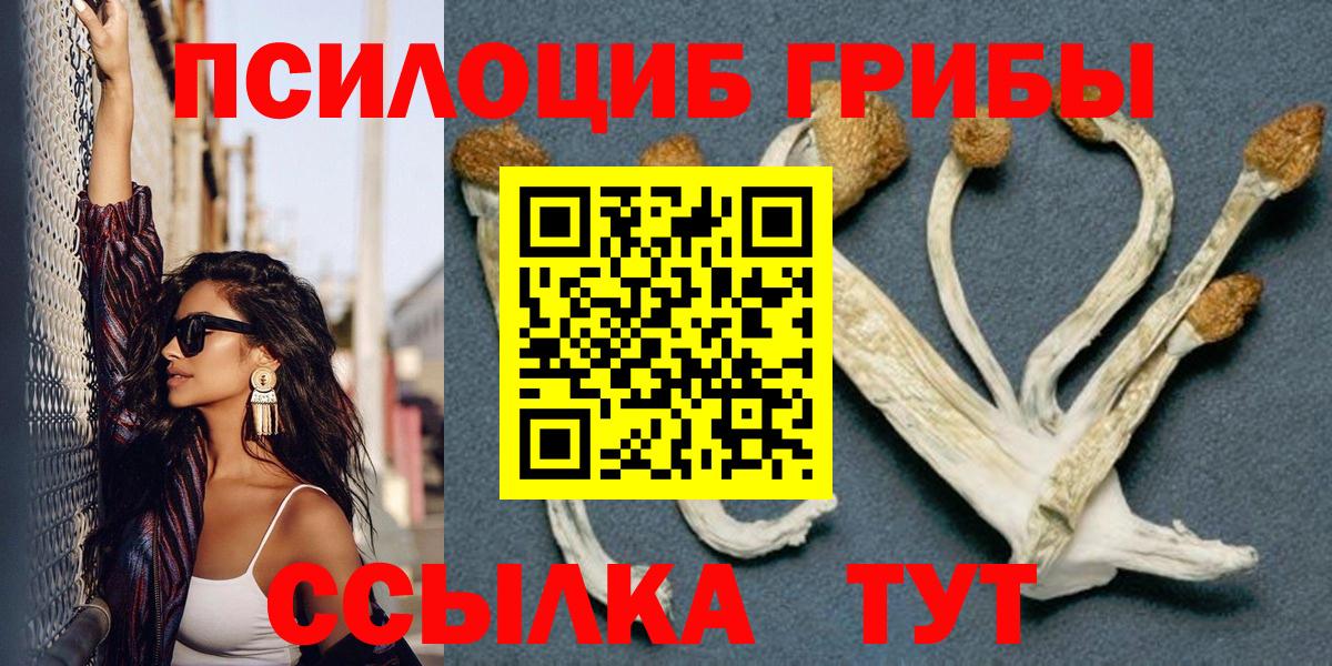 Галлюциногенные грибы мухоморы  купить наркоту  Кудрово  Вход с VPN  Псилоцибиновые грибы мицелий 