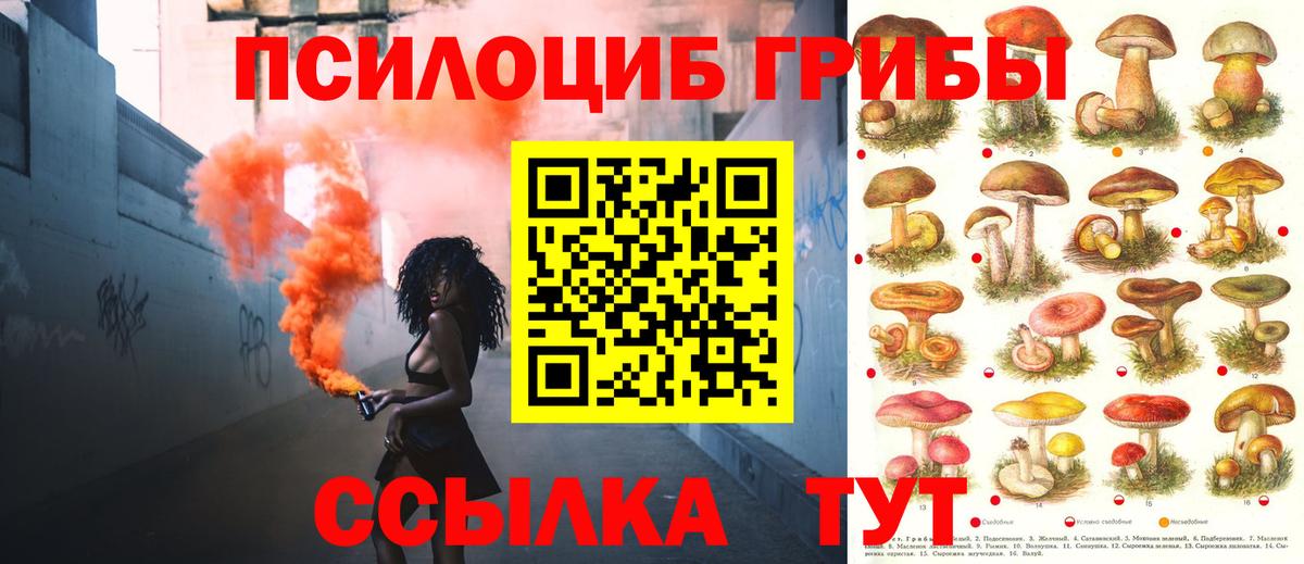 Галлюциногенные грибы ЛСД Кудрово
